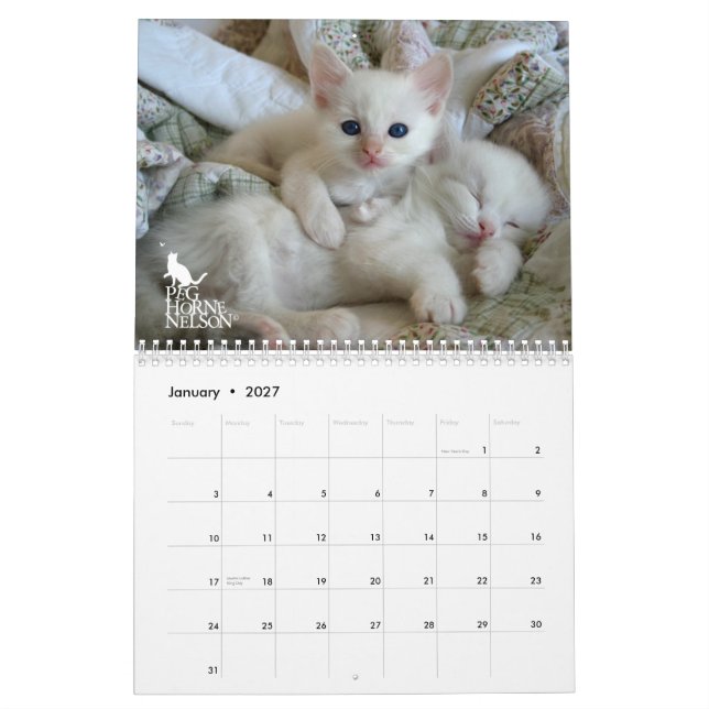 Mural Chatons vol. de Ragdoll. Un calendrier (Jan 2027)
