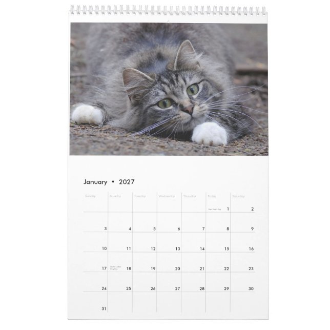 Mural Chats 2014 - Un calendrier pour des amoureux de (Jan 2027)