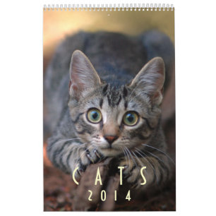 Mural Chats 2014 - Un calendrier pour des amoureux de