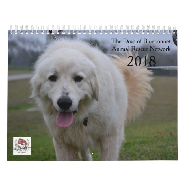 Mural Chiens de calendrier du Bluebonnet 2018 (Protection)