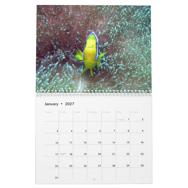 Mural Clownfish de calendrier des Fidji 2015 (Jan 2027)