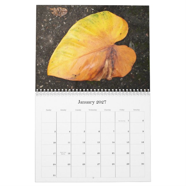 Mural Couleur des Caraïbes… le calendrier 2009 de fleurs (Jan 2027)