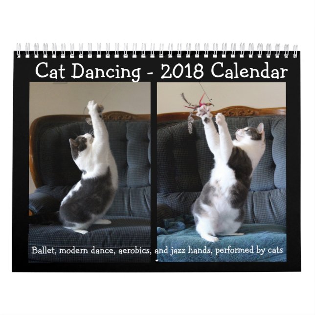 Mural Danse de chat - calendrier 2018 (Protection)