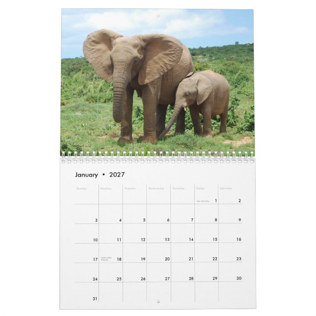 Mural Éléphants africains dans le calendrier d'Addo (Jan 2027)