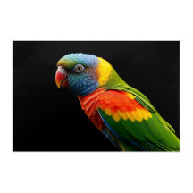 🦜 Perroquet Arc-en-Ciel Tropical - Art du Paradis