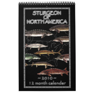 Mural Esturgeon de calendrier de l'Amérique du Nord 201