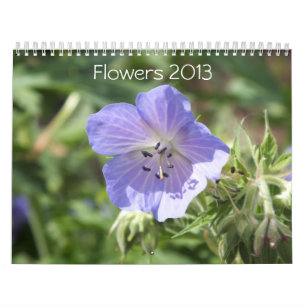 MURAL FLEURS 2013 CALENDRIER (16 MOIS)