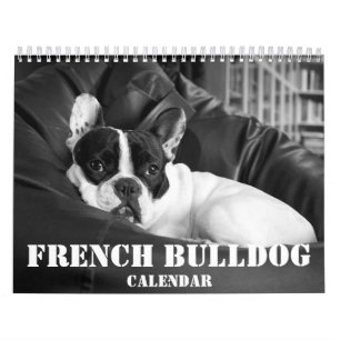 Mural Français Bulldog Calendrier 2023 Photos noir blanc
