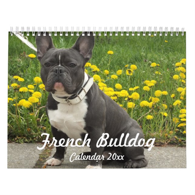 Mural French Bulldog Calendrier 2024 Ajouter Vos Photos (Protection)