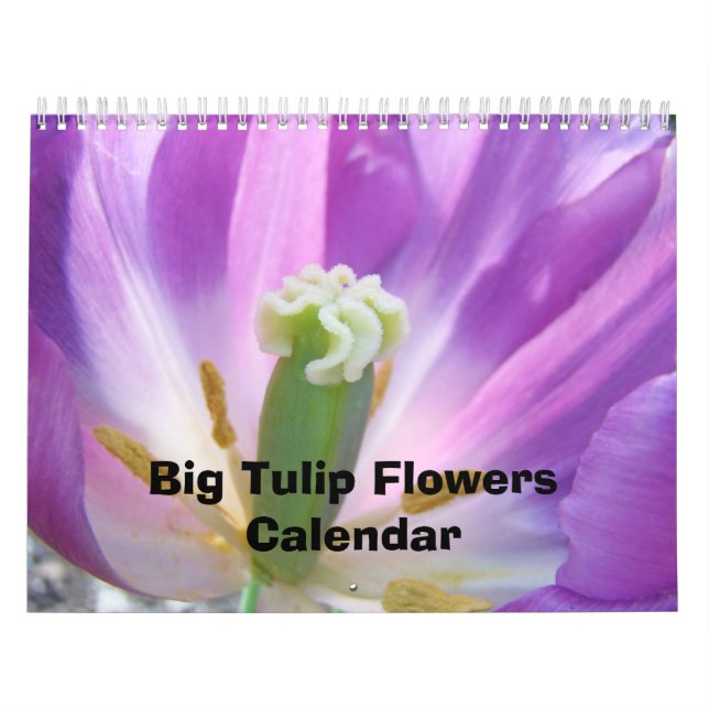 Mural Grand Calendrier de Fleurs de Tulipes Nature Flora (Protection)