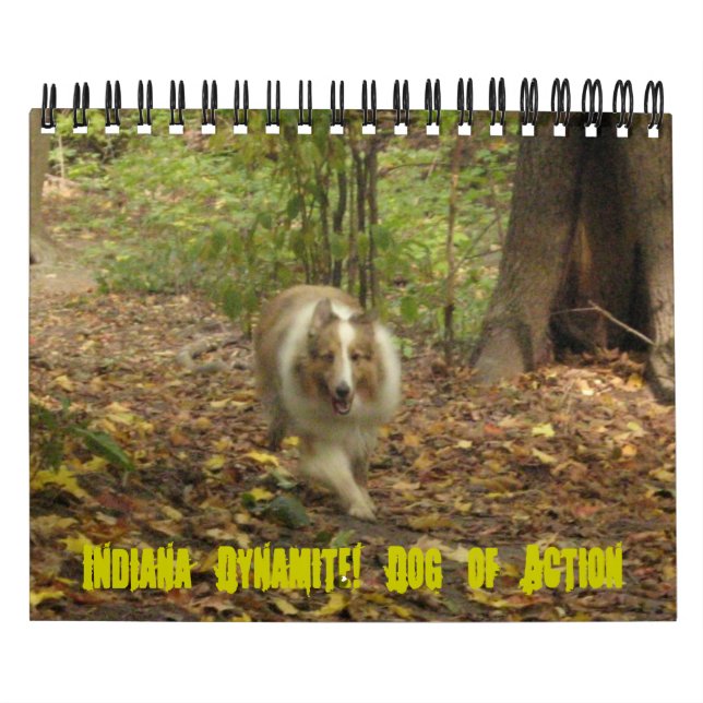 Mural Indiana Dynamite ! Calendrier des chiens d'action (Protection)