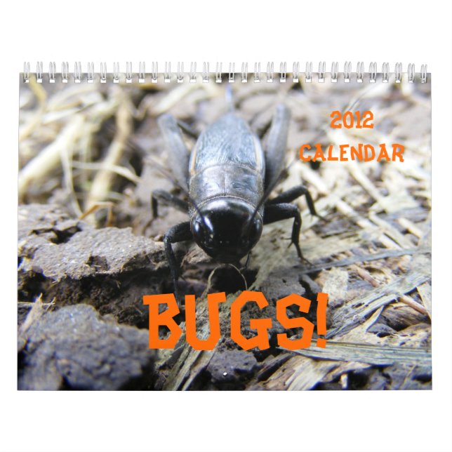 Mural INSECTES! Calendrier 2012 (Protection)