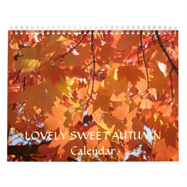 MURAL JOLIS CADEAUX DE FÊTE DE CALENDRIER D'AUTOMNE DOUX (Protection)