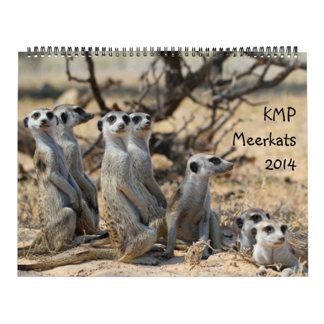 Mural KMP Meerkats - calendrier 2014 (Protection)