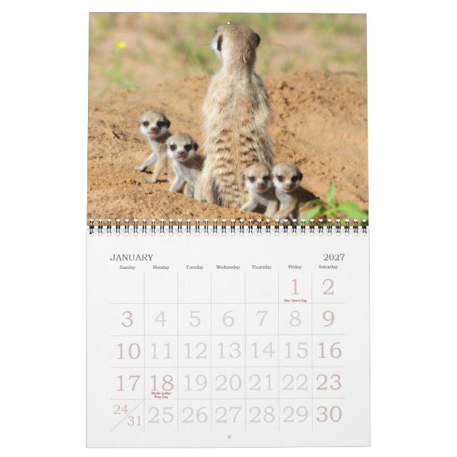 Mural KMP Meerkats - calendrier 2015 (Jan 2027)