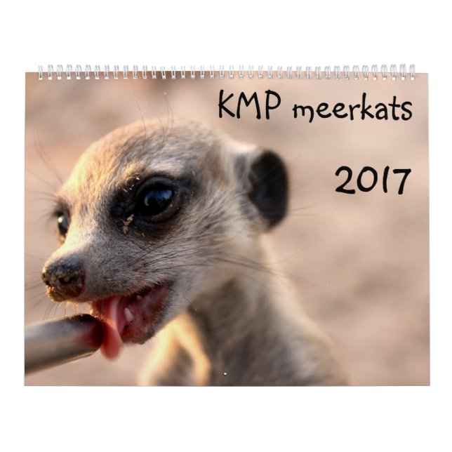 Mural KMP Meerkats - calendrier 2017 (Protection)