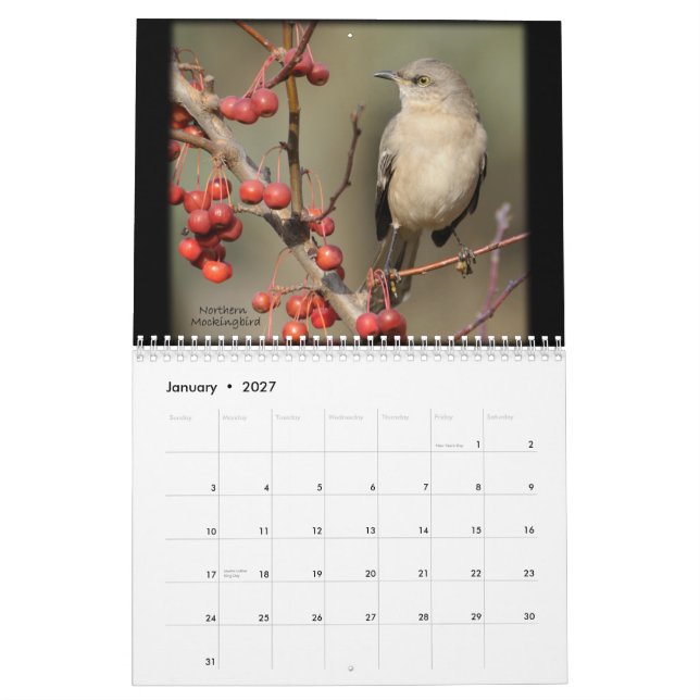 Mural La beauté du calendrier sauvage d'oiseaux (Jan 2027)