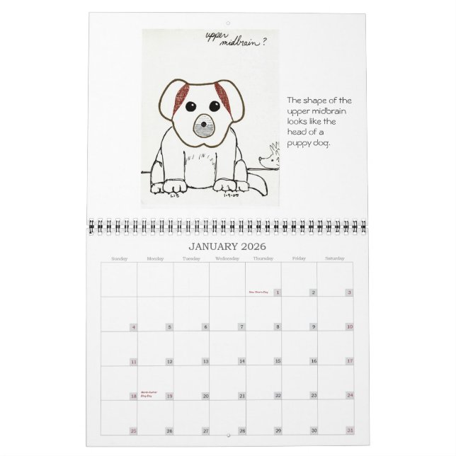 Mural La Faculté de Médecine esquisse le calendrier 2007 (Jan 2026)