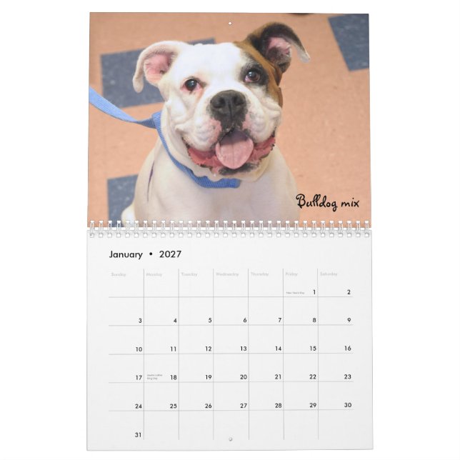 Mural L'abri poursuit le calendrier (Jan 2027)