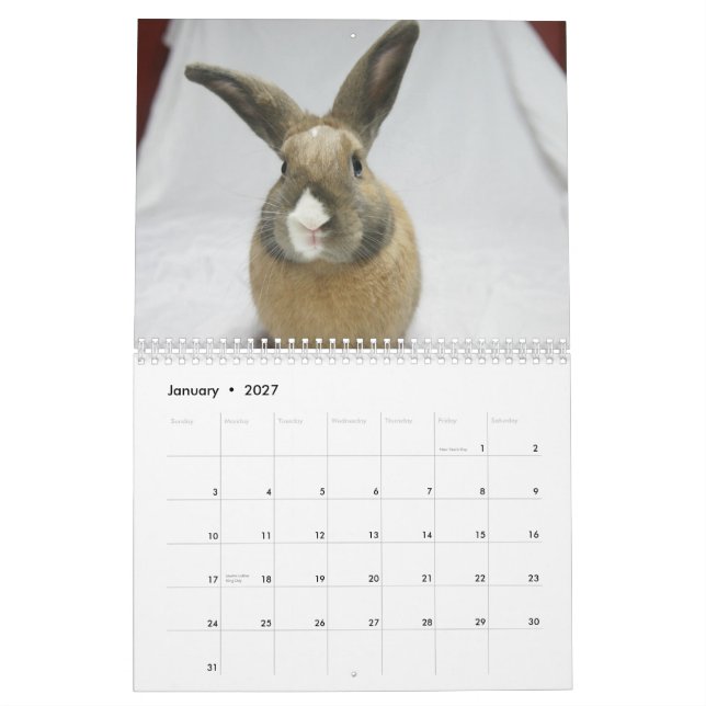 Mural Lapin de MHRR Honeybadger calendrier de 12 mois (Jan 2027)