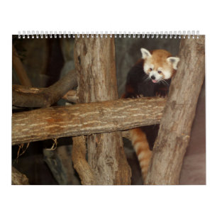 Mural Le calendrier de la photo de faune