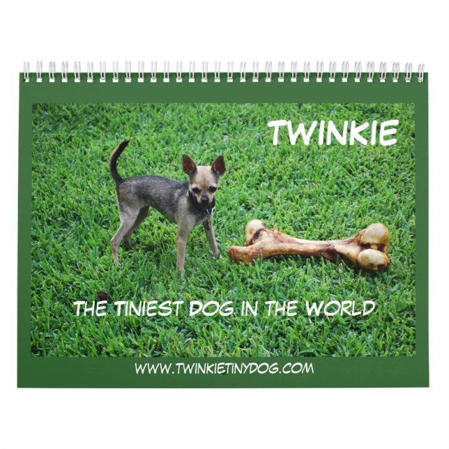 MURAL LE CALENDRIER DE TWINKIE (Protection)