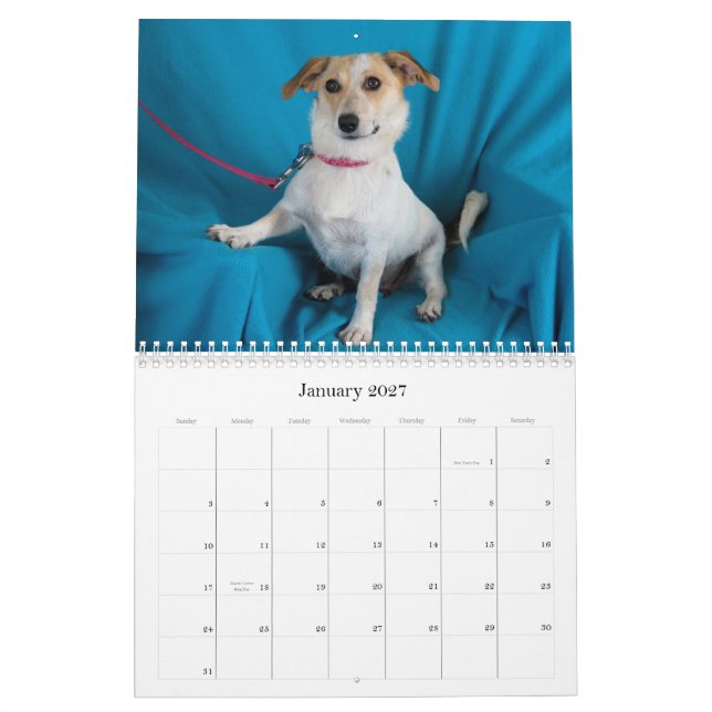 Mural Le coffre-fort remet le calendrier 2015 (Jan 2027)