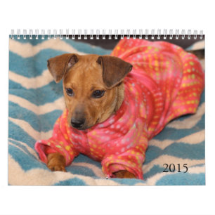Mural Le coffre-fort remet le calendrier 2015