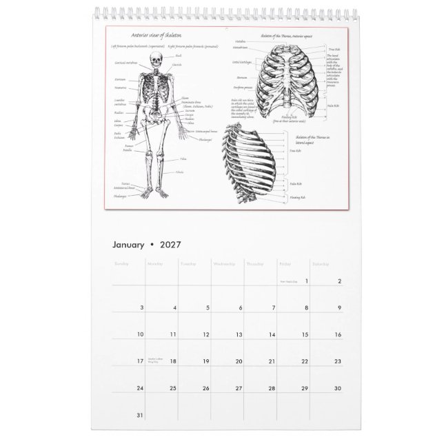 Mural Le DEM désosse le calendrier (Jan 2027)