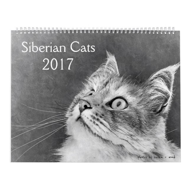Mural Le nouveau calendrier sibérien 2017 de chat (Protection)