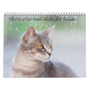 Mural Les Chats de Chats Cradle Shelter 2014 Calendrier