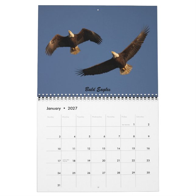 Mural Les oiseaux de Forsythe - calendrier officiel de (Jan 2027)