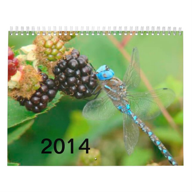 Mural Libellule bleue mangeant le calendrier de (Protection)