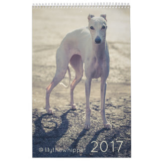 Mural Lis le calendrier du whippet 2017