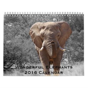 Mural Magnifiques Eléphants Calendrier 2016
