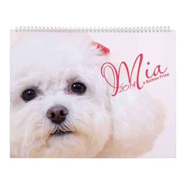 Mural Mia - un calendrier de Bichon Frise 2014 (Protection)