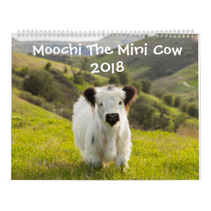Mural Moochi le mini calendrier de la vache 2018