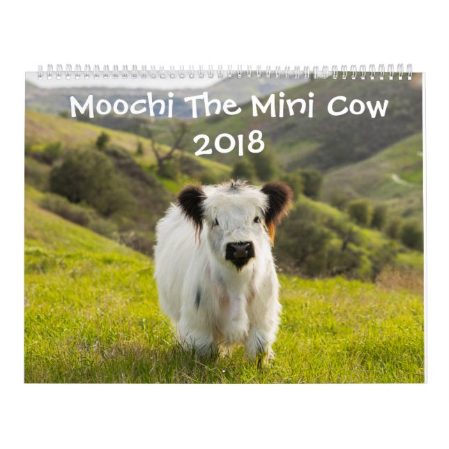 Mural Moochi le mini calendrier de la vache 2018 (Protection)