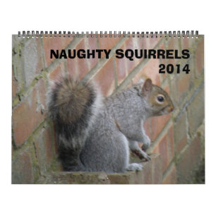 Mural Naughty Squirrels 2014 Calendrier
