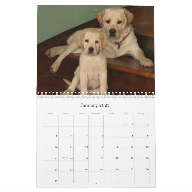 Mural Notre calendrier des meilleurs amis 2009 (Jan 2027)