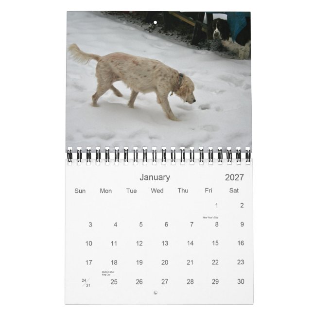 Mural Notre Pack Calendrier 2012, Petit (Jan 2027)