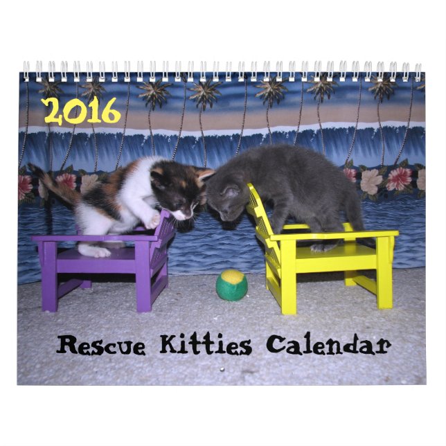 Mural *****NOUVEAU pour 2016 ! ! ! ***** Calendrier Seco (Protection)
