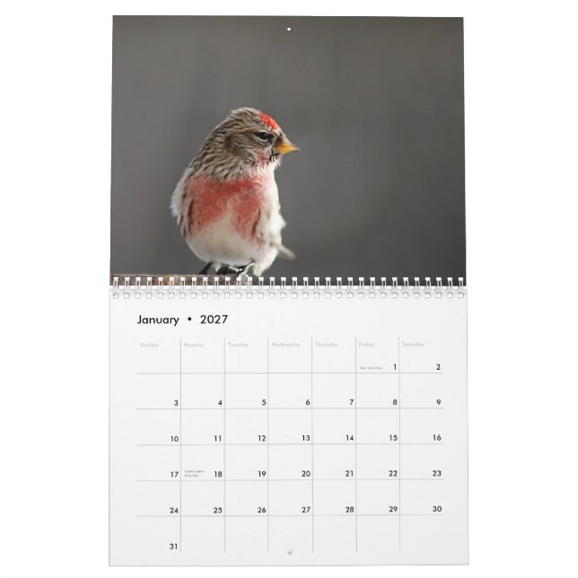 Mural Oiseaux dans le calendrier de l'hiver 2015 (Jan 2027)