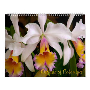Mural Orchidées du calendrier 2013 de la Colombie