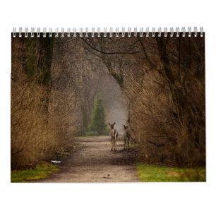 Mural Photographie d'influence naturelle 2016 Calendrier