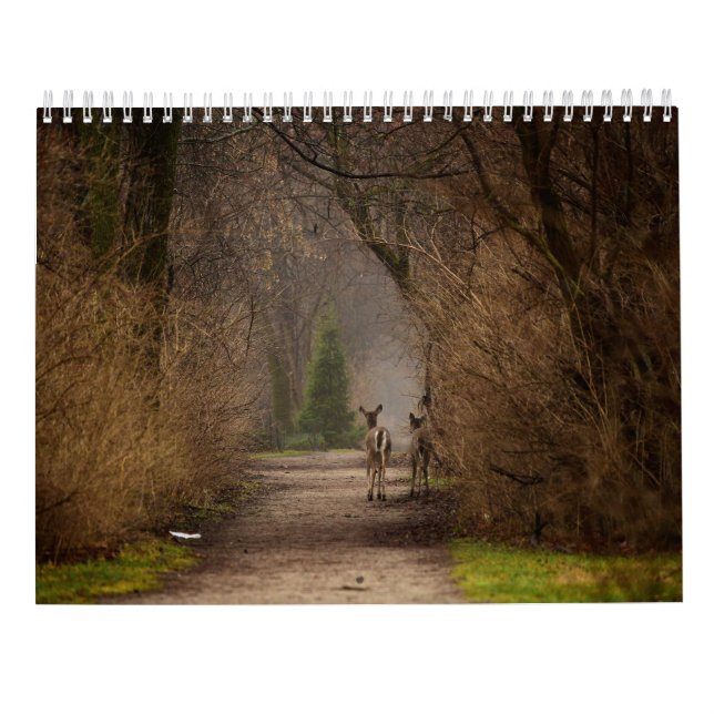 Mural Photographie d'influence naturelle 2016 Calendrier (Dos)