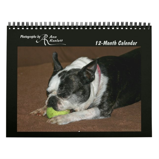 Mural Photos d'animaux - Calendrier de 12 mois (Protection)