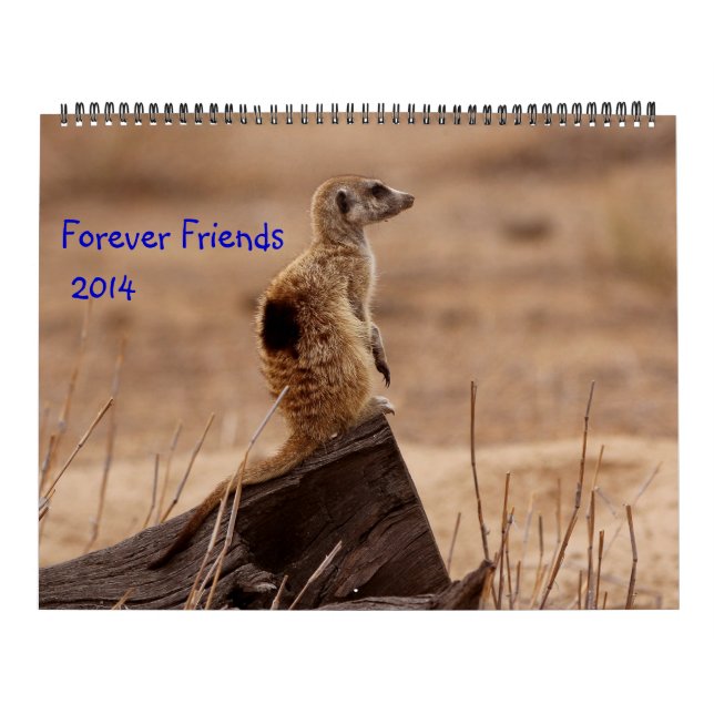 Mural Pour toujours amis - calendrier de FKMP 2014 (Protection)