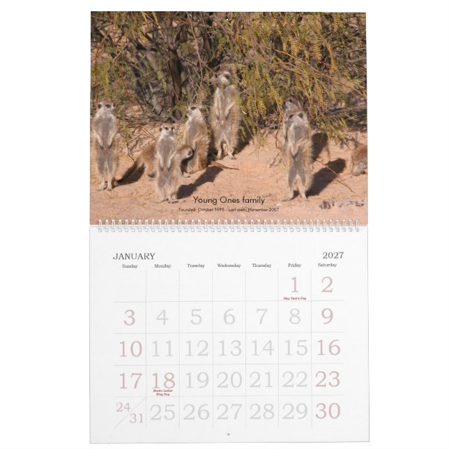 Mural Pour toujours amis - calendrier de Meerkat (Jan 2027)