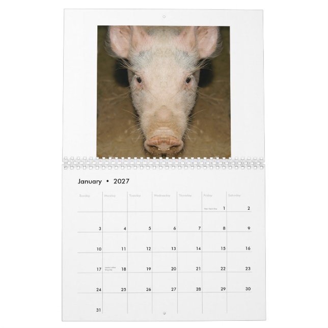 Mural Promo de calendrier (Jan 2027)